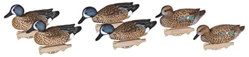 Flambeau Storm Front 2 Blue-Winged Teal Decoys (6-Pack) product photo
