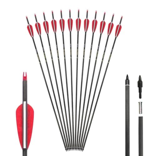 CIGENBON Carbon Arrows, 400 Spine (12-Pack) product photo