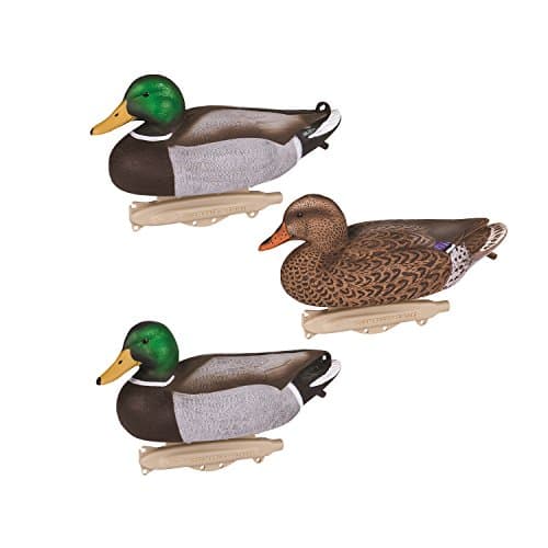 Duck Hunting for Beginners