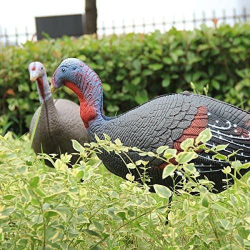 TargetEvo Hen and Jake Turkey Decoy Combo (2-Pack) product photo