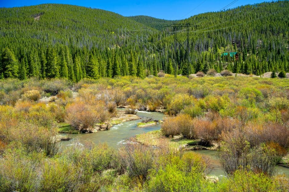 A clear mountain creek running through green banks — small trout water