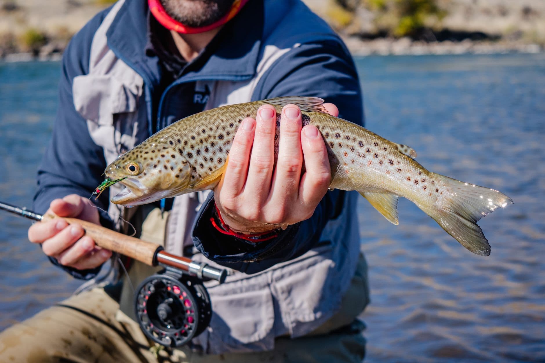 The Best Fly Fishing Rods for Creeks and Streams
