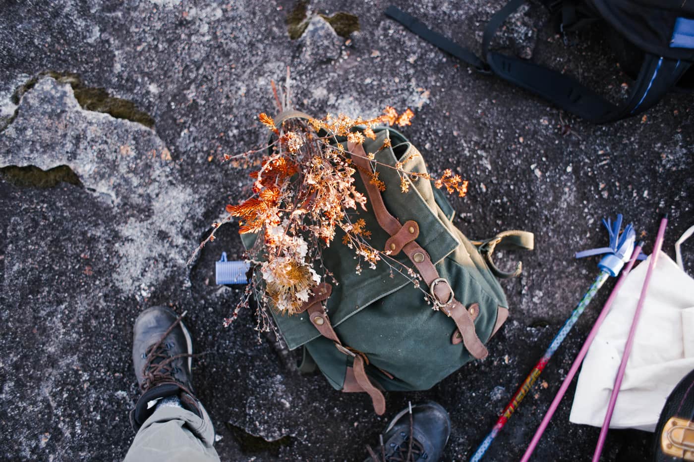 Hunting boots, binoculars and a pack laid out on a log in soft morning light