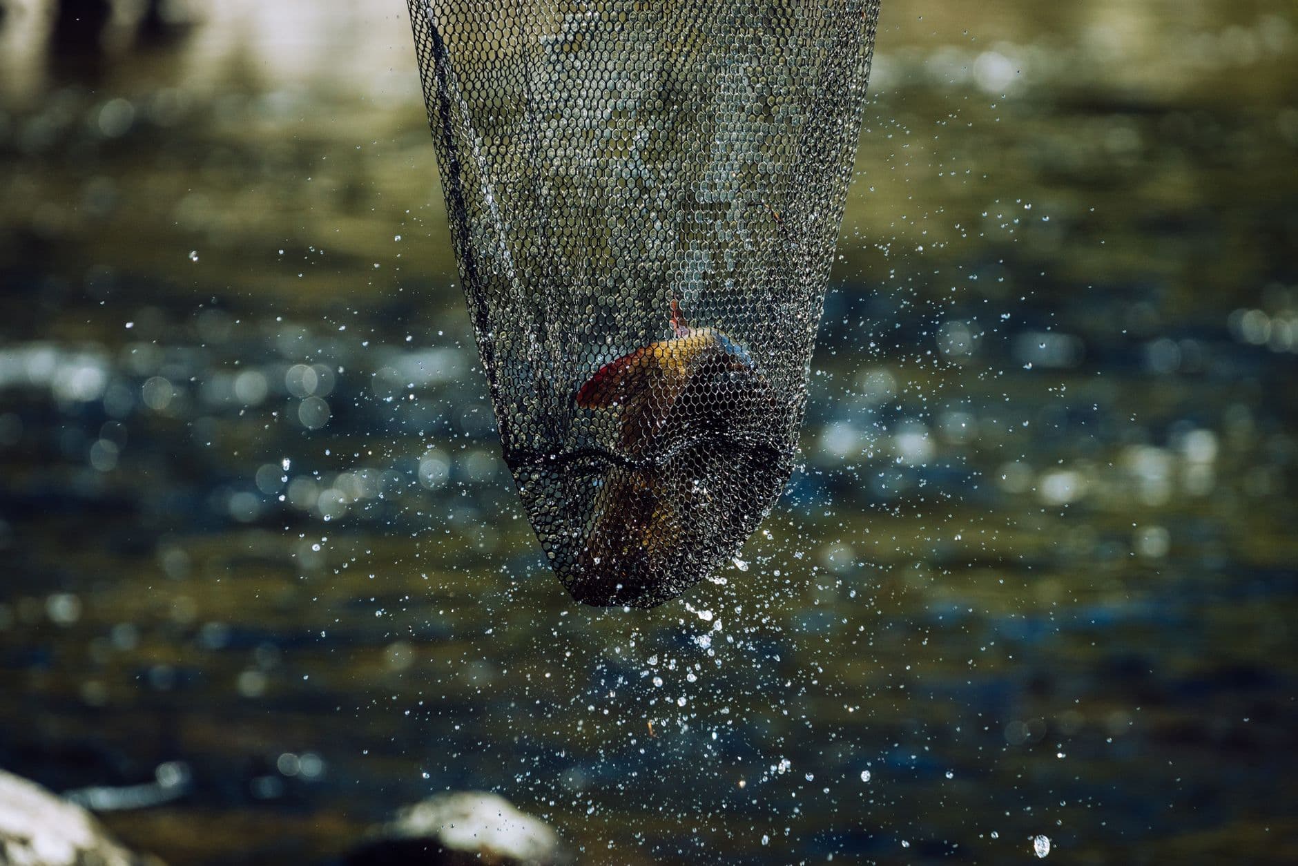 The Best Fly Fishing Nets