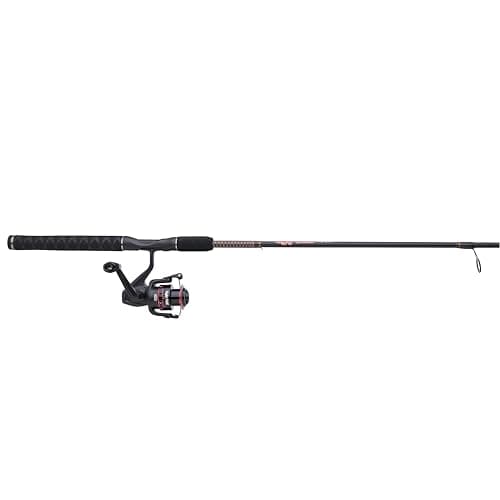 The Best Fishing Rods for Beginners