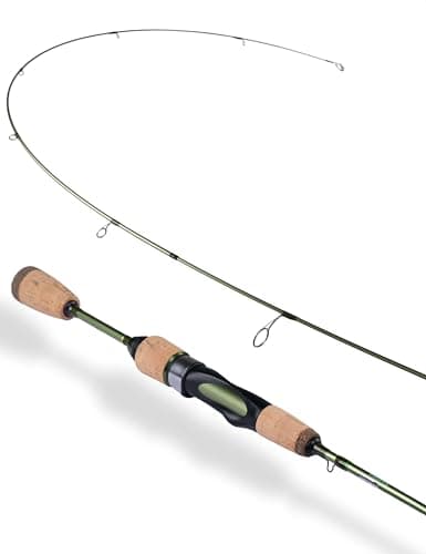 Fly Fishing vs Spinning for Trout