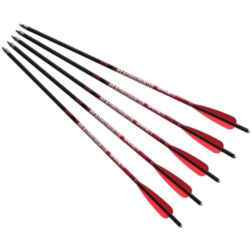 Barnett Headhunter 20 inch Carbon Crossbow Arrows (5 Pack) product photo