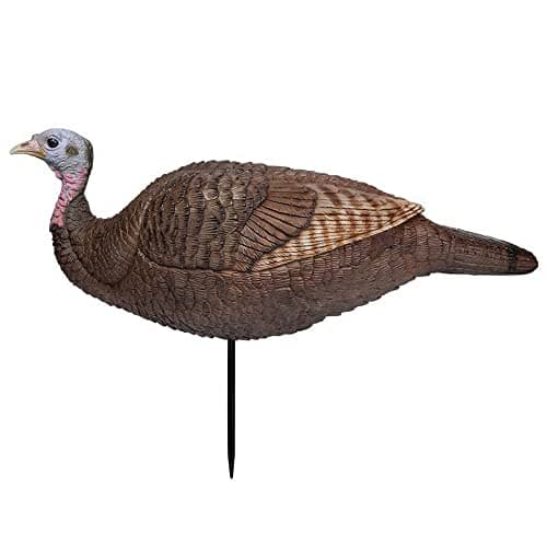 Primos Lil Gobstopper Hen Turkey Decoy product photo