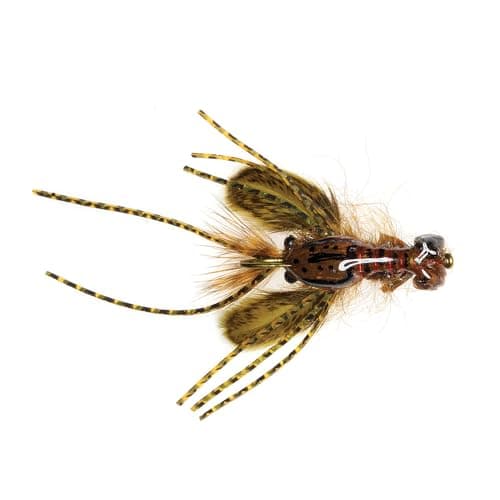 The Best Flies for Carp