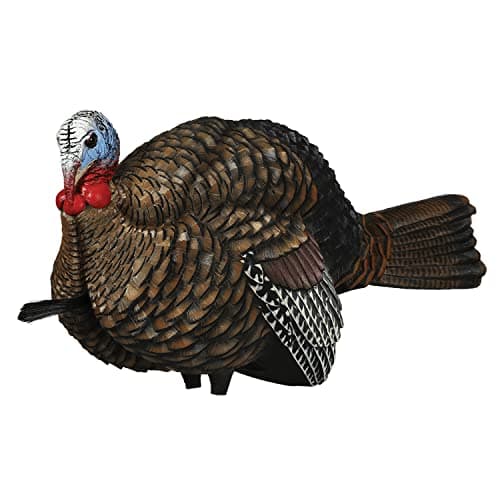 Avian-X LCD Half-Strut Jake Turkey Decoy product photo