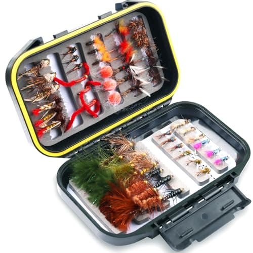 The Best Flies for Rainbow Trout