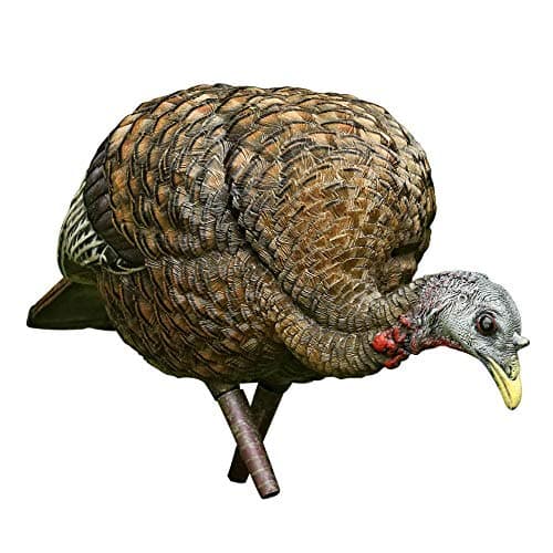 Avian-X LCD Feeder Hen Turkey Decoy product photo